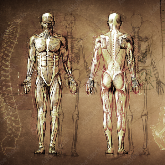 Patologik anatomi&yacute;a